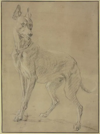 Greyhound to the left by Ян Вейникс — digital art print download