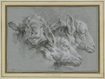 Drei Schafsköpfe, wachend und schlafend by Jean-Baptiste Huet, 1768 — digital art print download