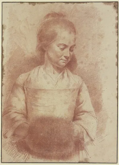 Half-Length Figure of a Young Woman with a Muff by Жан-Жак де Буассье — digital art print download
