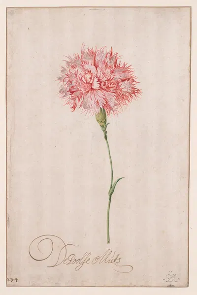 De Poolse Muts by Balthasar van der Ast — digital art print download