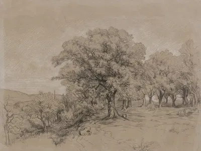 Edelkastanien bei Schönberg im Taunus by Louis Eysen, 1873 — digital art print download