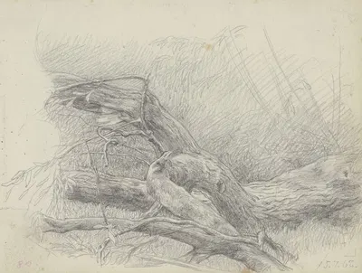 Fallen over tree trunk by Louis Eysen, 1867 — digital art print download