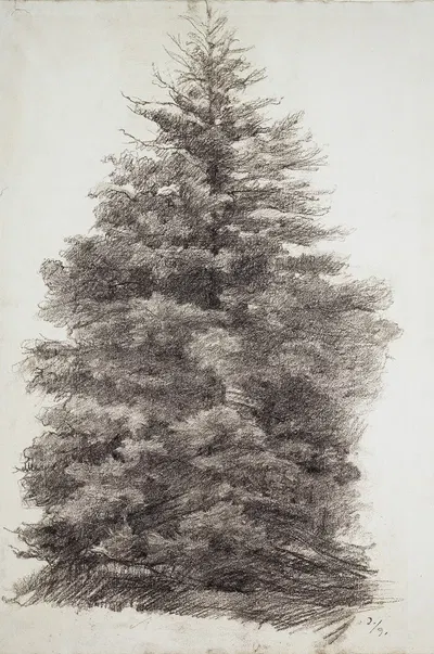 Fir tree by Louis Eysen — digital art print download