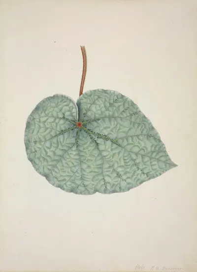 Mon Jardin a Ceylan Pl.162 by George De Alwis, 1896 — digital art print download