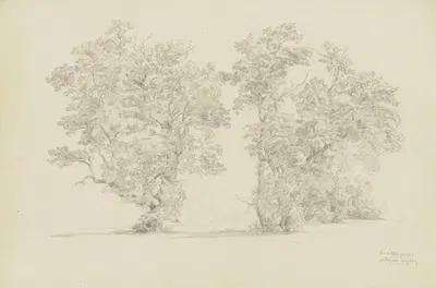 Trees at the Ammer by Ludwig Metz, 1862 — digital art print download