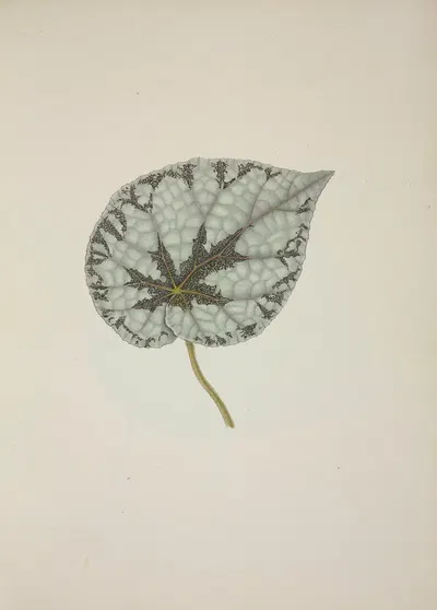 Mon Jardin a Ceylan Pl.229 by George De Alwis, 1896 — digital art print download
