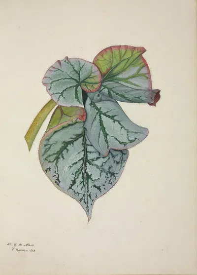 Mon Jardin a Ceylan Pl.233 by George De Alwis, 1896 — digital art print download
