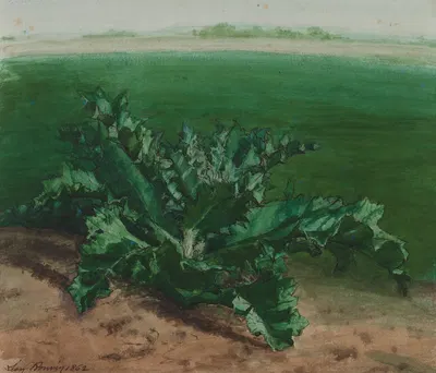 Study of a Plant, Possibly Thistle by Леон Бонвен, 1862 — digital art print download