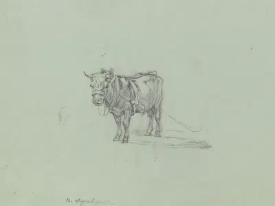 Harnessed ox by Макс Иосиф Вагенбауэр — digital art print download