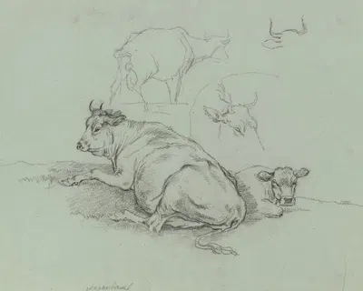Liegende Kuh mit Kalb sowie weitere Rinder by Макс Иосиф Вагенбауэр — digital art print download