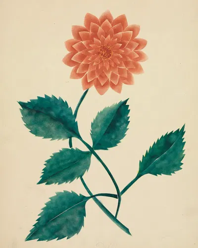 Dahlia by Мэри Алта Нимс — digital art print download