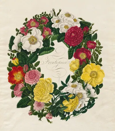 A Wreath of Roses by Mary Lawrence, 1799 — digital art print download