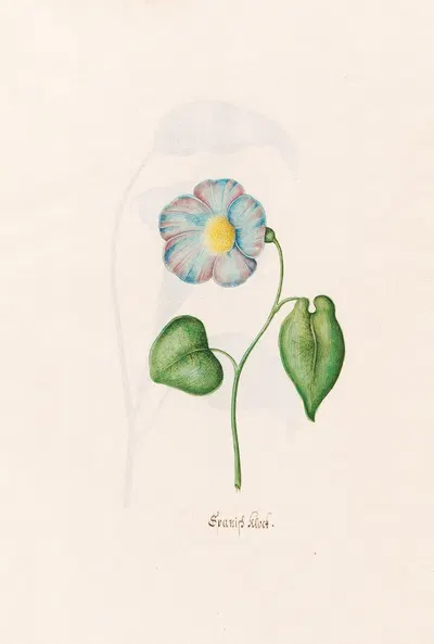 Spanish klock by Magdelena Rosina Funck, 1692 — digital art print download