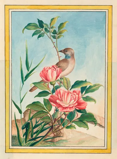 Plantes de Chine Pl.004 by Pierre Joseph Buchoz, 1776 — digital art print download