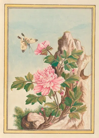 Plantes de Chine Pl.010 by Pierre Joseph Buchoz, 1776 — digital art print download