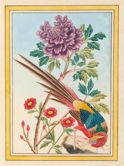 Plantes de Chine Pl.011 by Pierre Joseph Buchoz, 1776 — digital art print download