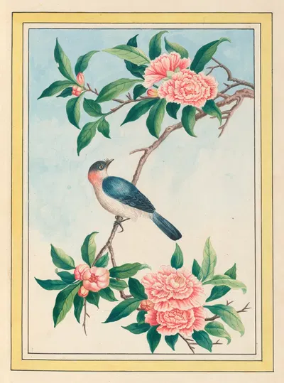 Plantes de Chine Pl.014 by Pierre Joseph Buchoz, 1776 — digital art print download