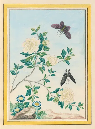 Plantes de Chine Pl.017 by Pierre Joseph Buchoz, 1776 — digital art print download