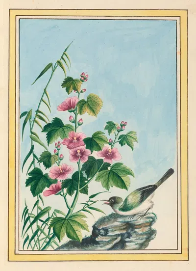 Plantes de Chine Pl.019 by Pierre Joseph Buchoz, 1776 — digital art print download