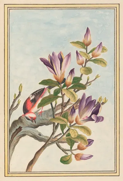 Plantes de Chine Pl.031 by Pierre Joseph Buchoz, 1776 — digital art print download