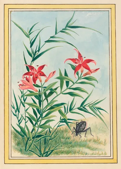 Plantes de Chine Pl.035 by Pierre Joseph Buchoz, 1776 — digital art print download