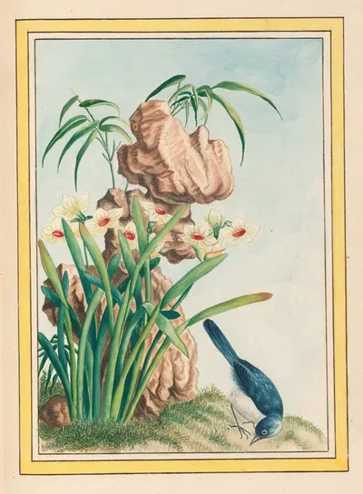 Plantes de Chine Pl.040 by Pierre Joseph Buchoz, 1776 — digital art print download
