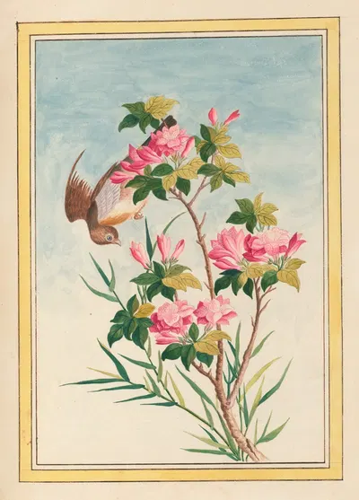 Plantes de Chine Pl.043 by Pierre Joseph Buchoz, 1776 — digital art print download