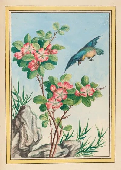 Plantes de Chine Pl.045 by Pierre Joseph Buchoz, 1776 — digital art print download