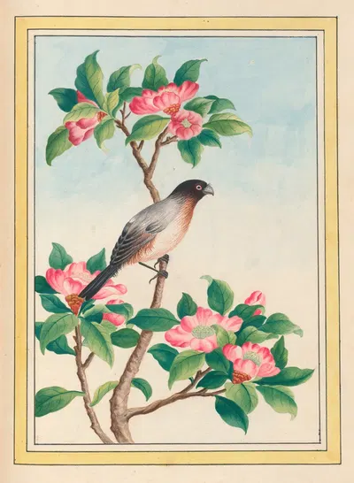 Plantes de Chine Pl.046 by Pierre Joseph Buchoz, 1776 — digital art print download