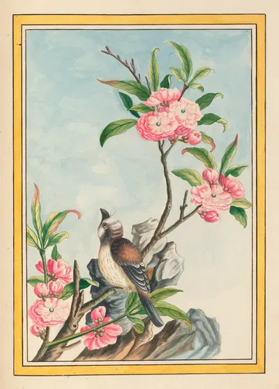 Plantes de Chine Pl.047 by Pierre Joseph Buchoz, 1776 — digital art print download