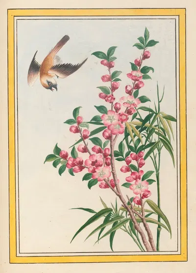 Plantes de Chine Pl.049 by Pierre Joseph Buchoz, 1776 — digital art print download