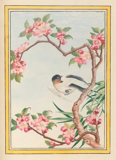 Plantes de Chine Pl.050 by Pierre Joseph Buchoz, 1776 — digital art print download