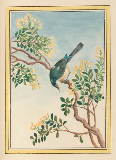 Plantes de Chine Pl.068 by Pierre Joseph Buchoz, 1776 — digital art print download