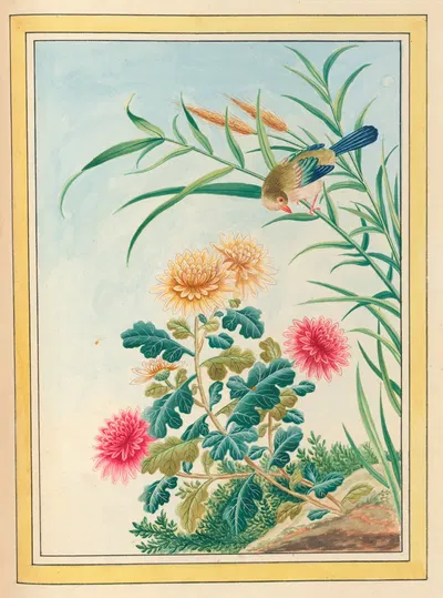 Plantes de Chine Pl.075 by Pierre Joseph Buchoz, 1776 — digital art print download