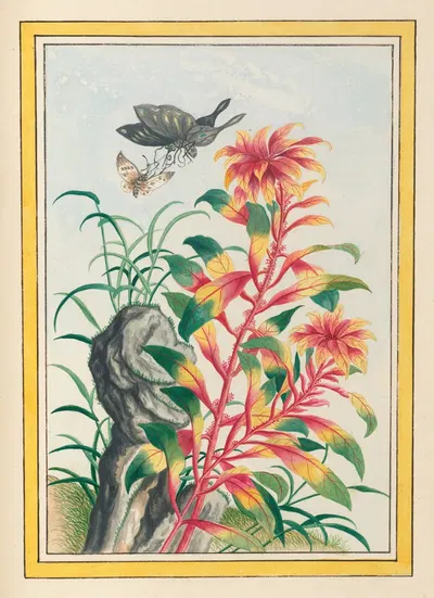Plantes de Chine Pl.076 by Pierre Joseph Buchoz, 1776 — digital art print download