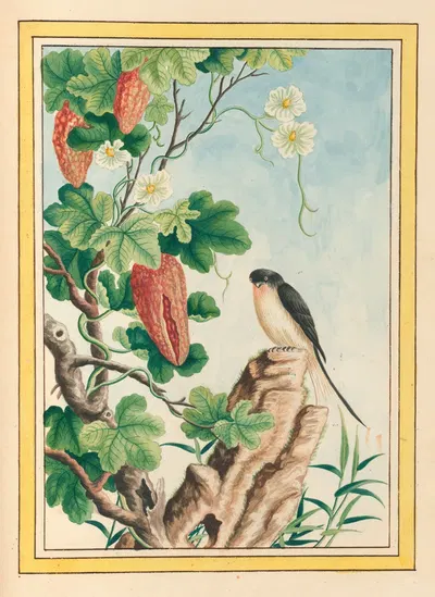 Plantes de Chine Pl.085 by Pierre Joseph Buchoz, 1776 — digital art print download