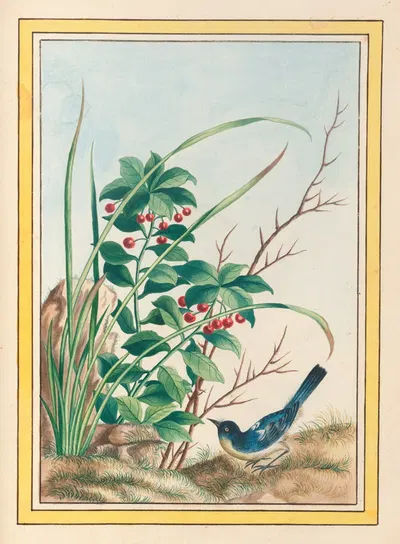 Plantes de Chine Pl.088 by Pierre Joseph Buchoz, 1776 — digital art print download