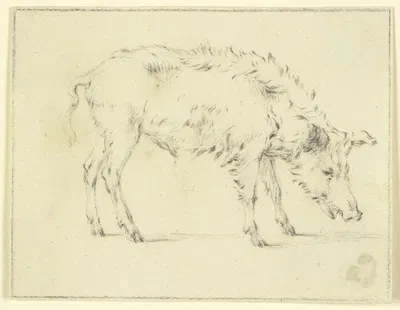 A pig to the right by Паулус Поттер — digital art print download
