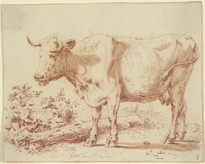 Kuh nach links bei einem am Boden liegenden Baumstamm by Paulus Potter — digital art print download