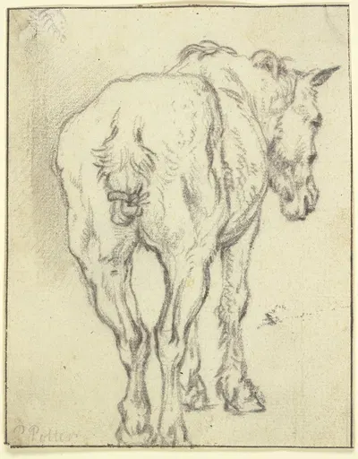 Pferd mit zusammengebundenem Schweif in Rückansicht by Паулус Поттер — digital art print download