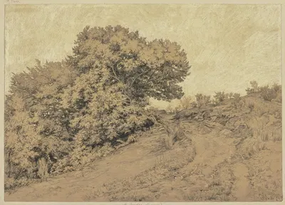 Hohlweg in Burgund mit Baumwerk zur linken Seite by Петер Бурниц, 1856 — digital art print download
