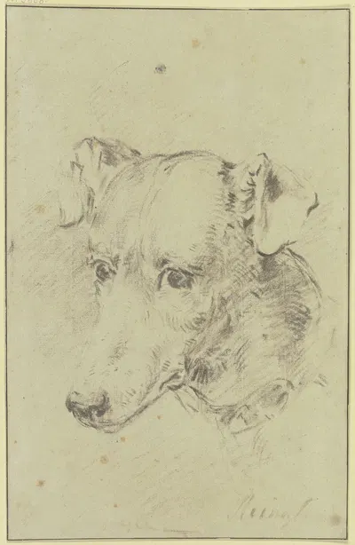 Dog's head to the left by Philip Reinagle — digital art print download