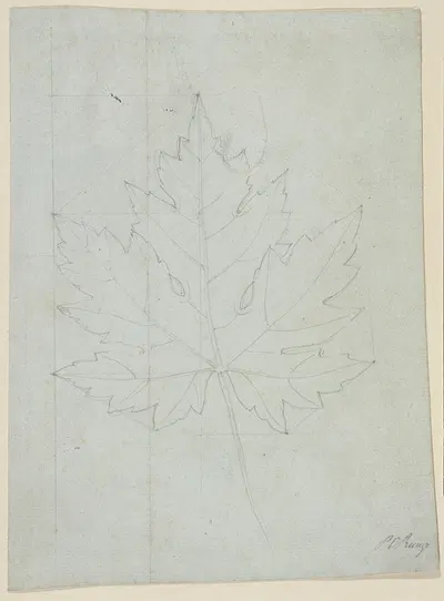 Maple leaf by Philipp Otto Runge, 1808 — digital art print download