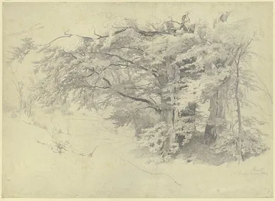 Forest near Bernried by Филипп Рёт, 1865 — digital art print download