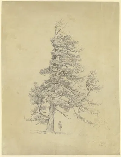 Mann unter einer Wetterfichte by Филипп Рёт, 1862 — digital art print download