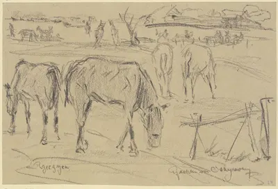 Weidende Pferde in Rzeczyca, Russisch-Polen by Reinhard Pfaehler von Othegraven, 1915 — digital art print download