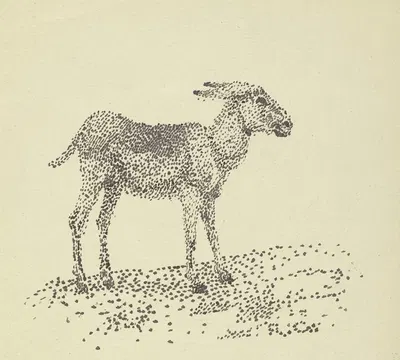 Donkey by Рудольф Гудден — digital art print download