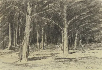 Forest by Сион Лонгли Уэнбан — digital art print download