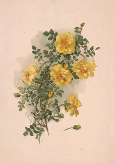 Yellow Scotch roses by Annie Nowell, 1890 — digital art print download