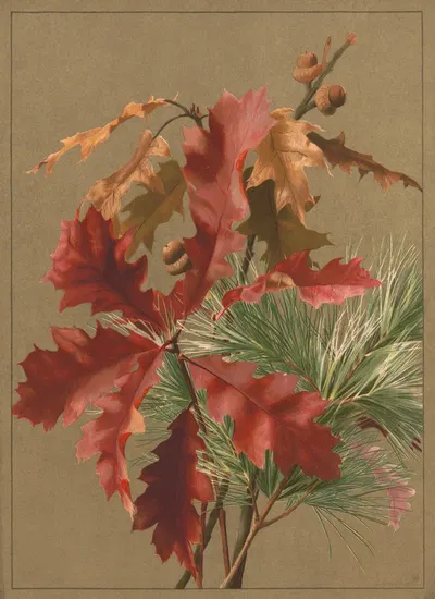 Autumn leaves, no. 1 by Ellen Fisher, 1886 — digital art print download